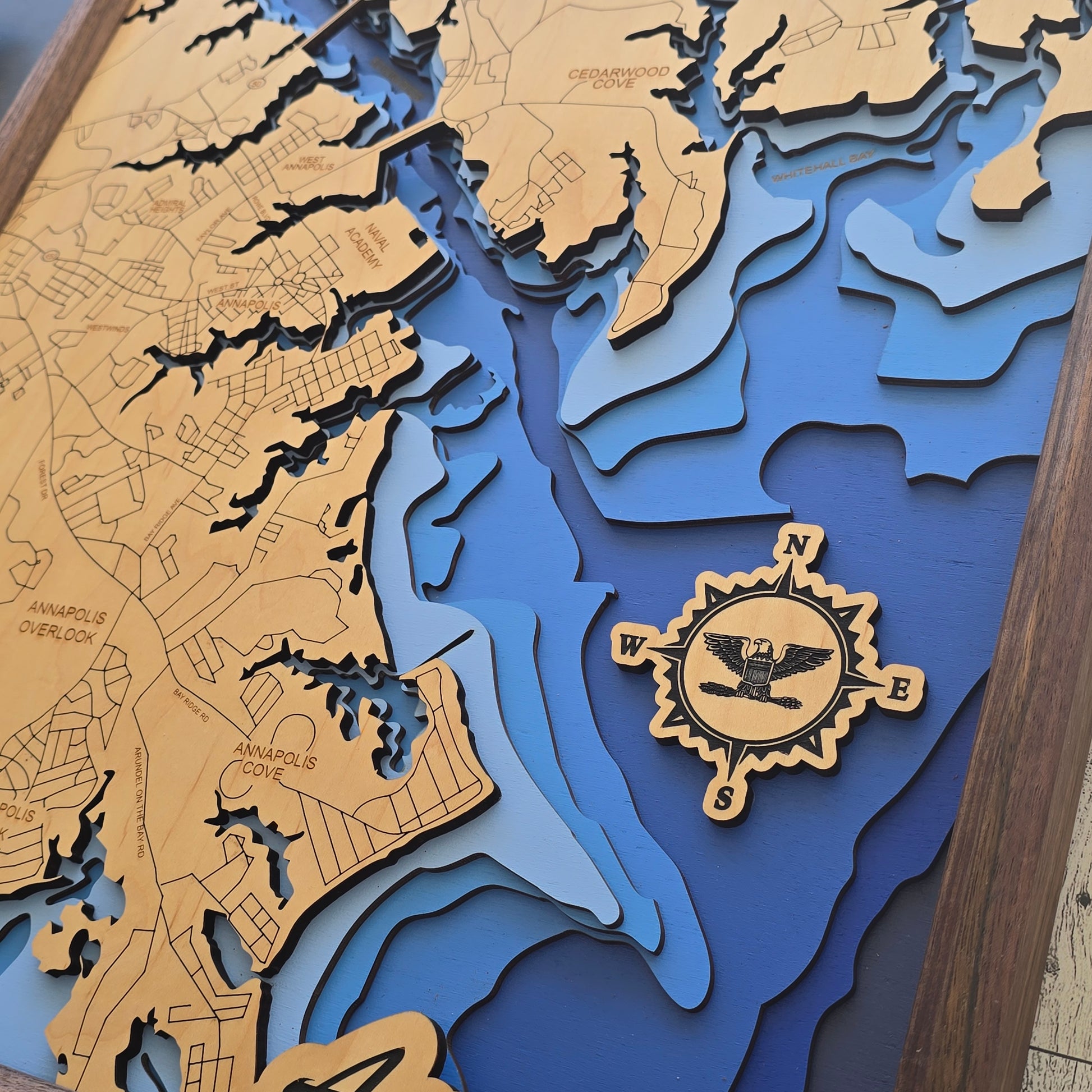 Bathymetric map with a compass rose and detailed topography